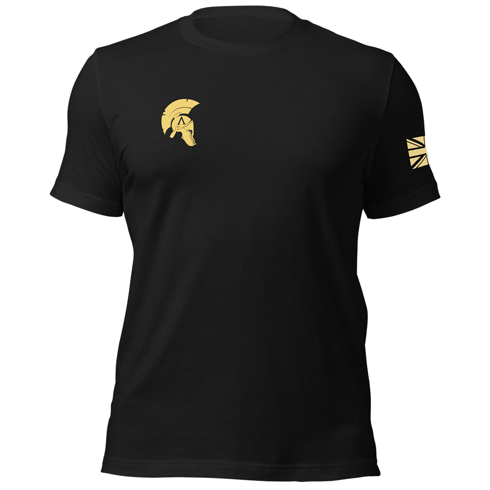 Front view of Black short sleeve unisex fit original cotton T-Shirt by Achilles Tactical Clothing Brand printed wi Ronin design across back