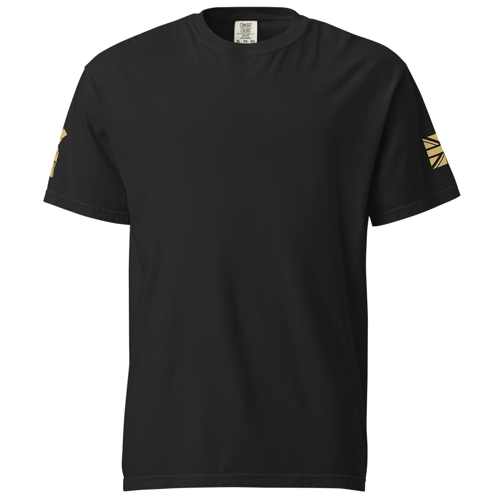 Front view of Black short sleeve unisex fit classic cotton T-Shirt by Achilles Tactical Clothing Brand printed with Large Ronin design across back