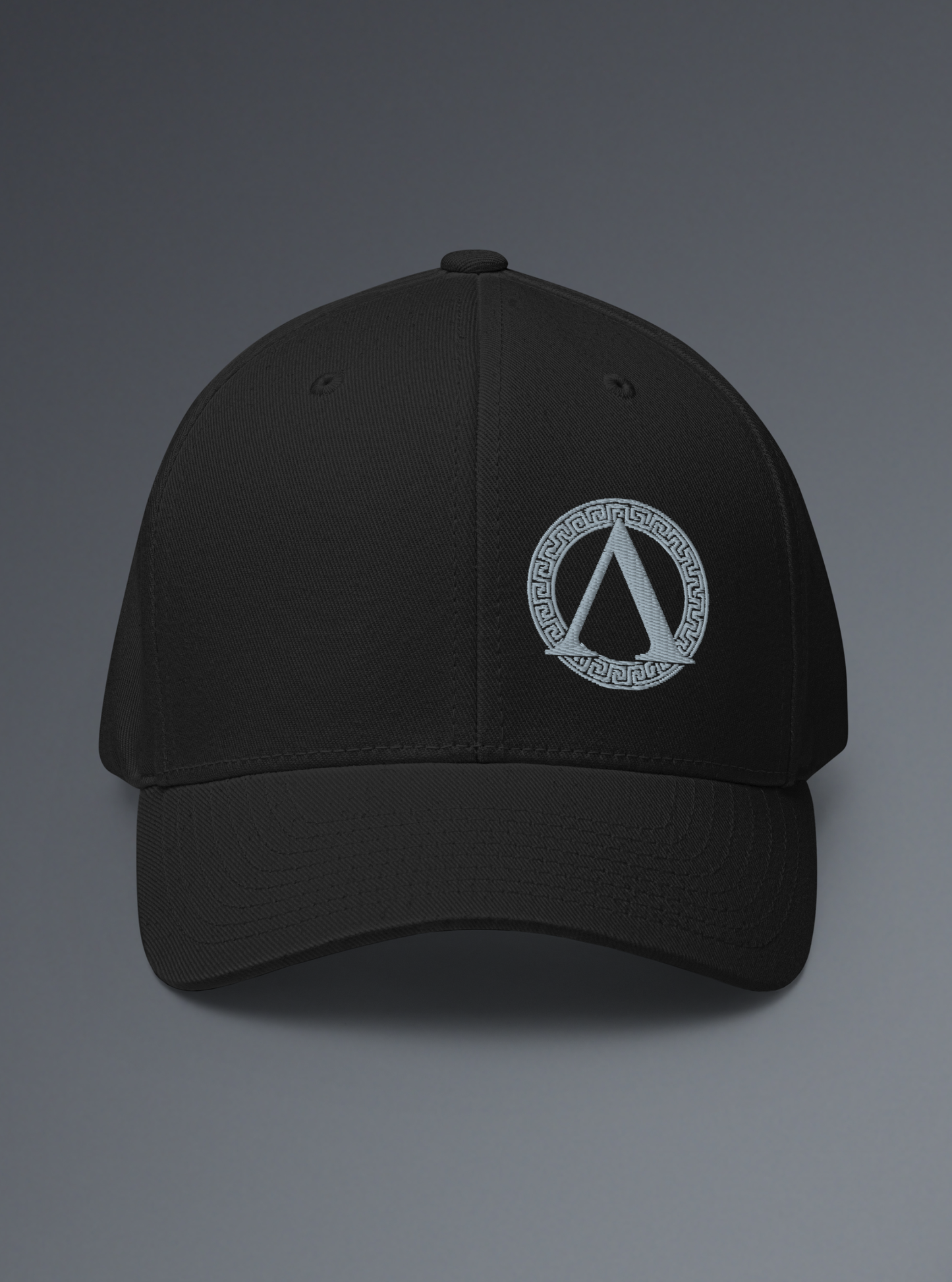 The INSIGNIA FlexFit Cap
