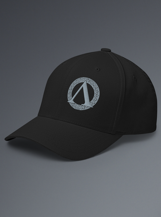 The INSIGNIA FlexFit Cap