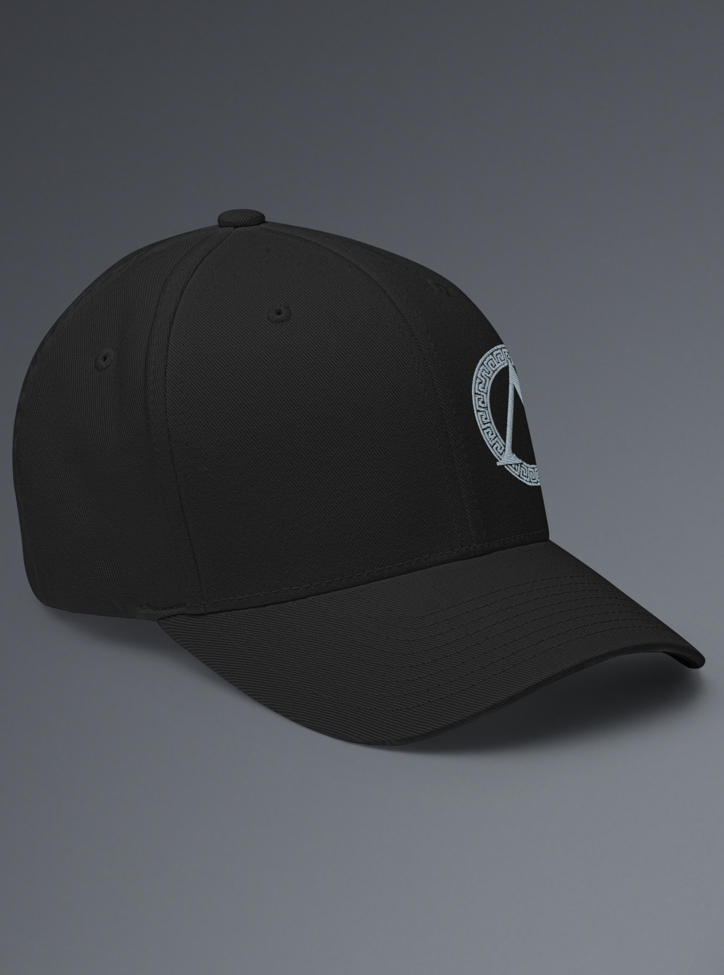 The INSIGNIA FlexFit Cap